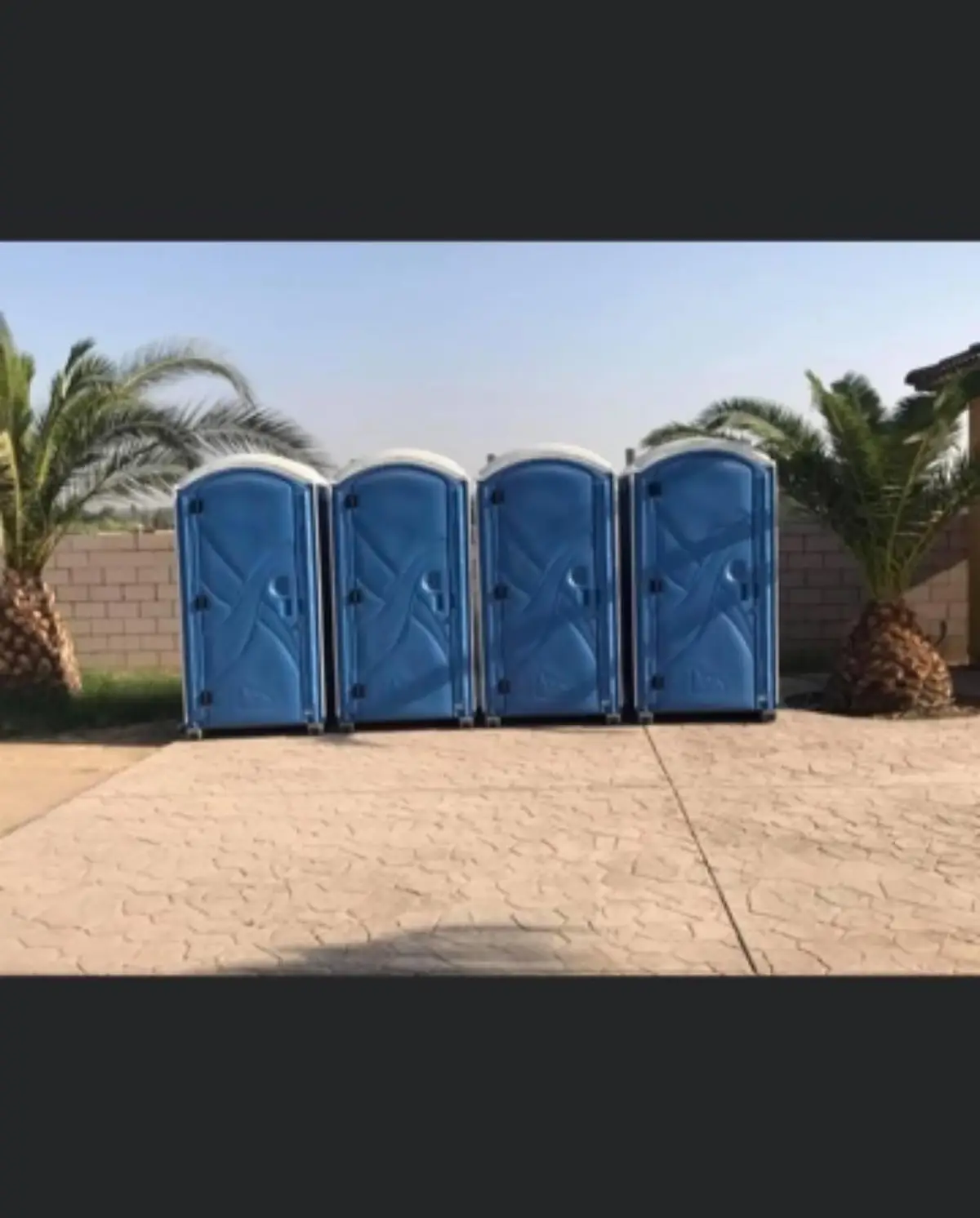 Row of portable toilets set up for an event